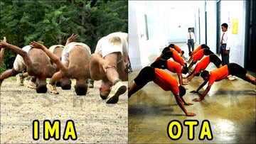 OTA Chennai vs IMA Dehradun - Which is Best for You?